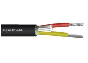 Quality 1kV Aluminum Conductor PVC Insulated &amp; Sheathed Two Core Unarmoured Power Cable wholesale