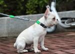 1.5cm 0.59" Padded Dog Leash Padded Handle Dog Lead Add Silicone Button 86 To