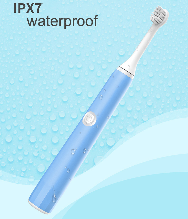 CONTEC C1 Waterproof IPX7 Electric Sonic Toothbrush Rechargeable Toothbrush