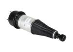 Pneumatic Rear Jaguar Xj8 Suspension For XJ XJR C2C41340 C2C41341