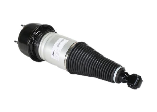 Rear Spare Parts Air Suspension Spring Absorbers Shock Strut For Jaguar XJ