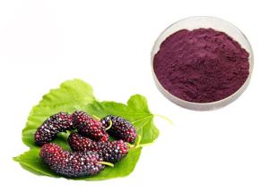 Quality Anthocyanin Fruit Mulberry Herbal Extract Powder For Food Additives wholesale