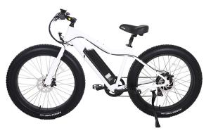 Quality 6061 Aluminum Electric Assist Mountain Bike 48V 750W High Power wholesale