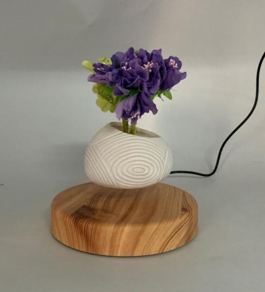 Hotsale magnetic levitation flying air bonsai plant tree flowerpot planters PA