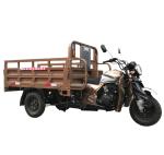 65km/H Gasoline Tricycle