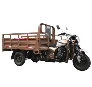 Quality 65km/H Gasoline Tricycle wholesale