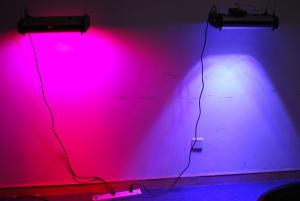 Quality Hydroponic LED Plant Grow Light 300W Indoor Full Spectrum for Veg and Flower wholesale