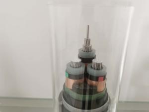 China 0.6/1KV Cross Linked Polyethylene Wire Cable 3x10mm2 glanding on sale
