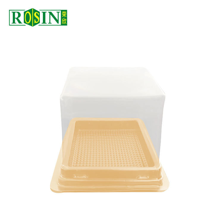 Square Single Plastic Hinged Cupcake Containers Disposable Food Grade