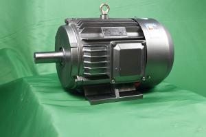 Quality YE3 80M2-6 Class F Asynchronous Electric Motor 0.55kW IP55 wholesale