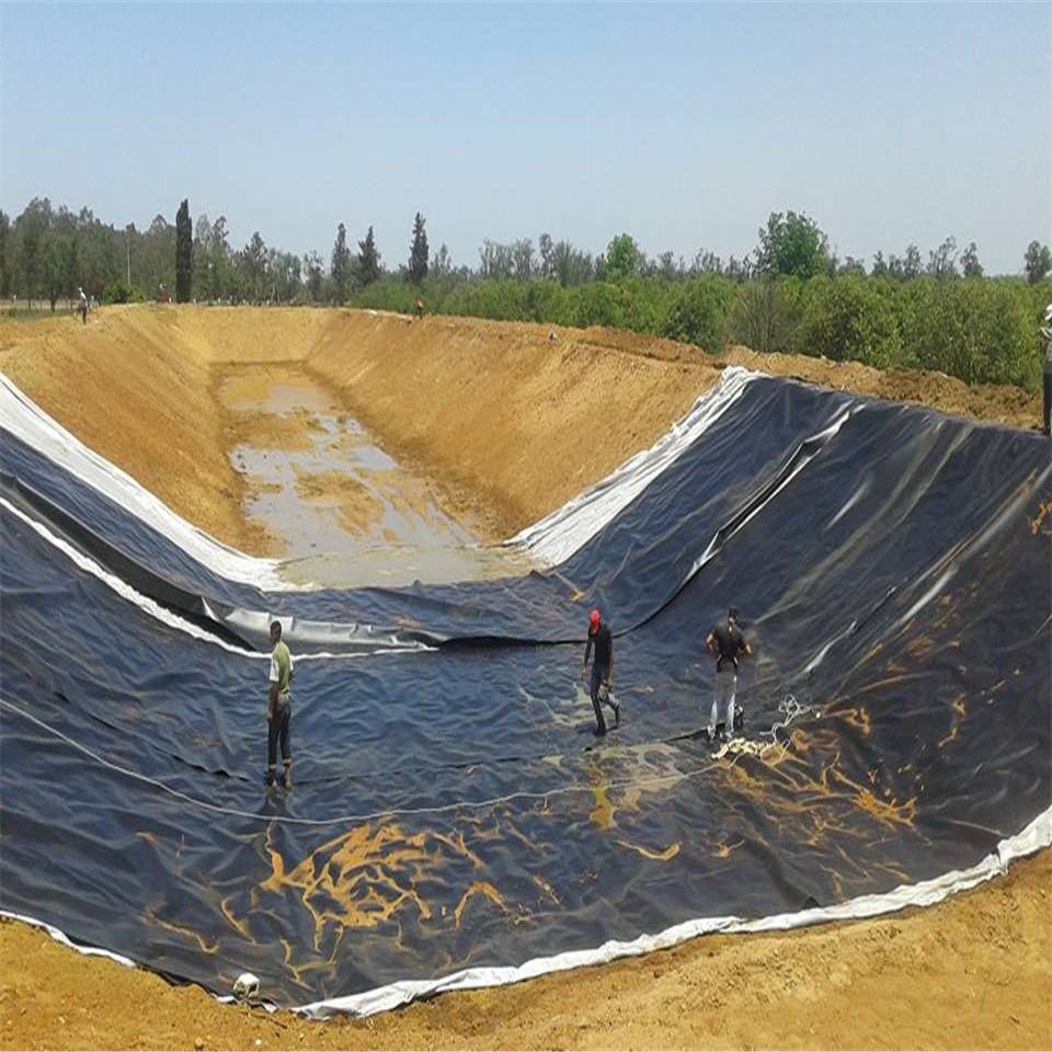 1mm 0.5mm 1.5mm 2mm Hdpe Geomembrane for Plastic Fish Shrimp Pond Liner Design Style