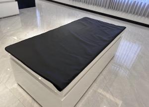 Quality Foldable Far Infrared Blankets 110V Weight Loss Infrared Sauna Blanket wholesale