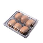 Transparent Fruit Storage 180x195x55mm PET Plastic Tray