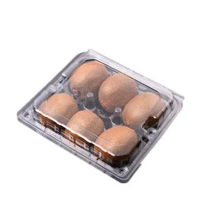 Quality Transparent Fruit Storage 180x195x55mm PET Plastic Tray wholesale