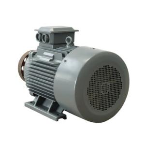 Quality 5-2000kw Rare Earth NdFeB Permanent Magnet Alternator China Factory wholesale