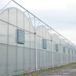 plastic film Hobby Structure Multispan Tunnel Plastic Greenhouse