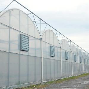 Quality Round Tunnel Plastic Sheet Hydroponic Multi Span Greenhouse For Flowers Planting wholesale