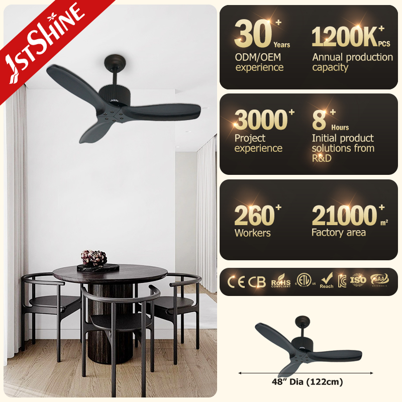 ceiling fan