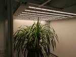 395nm 1060 Pcs Chips Horticulture LED Grow Lights
