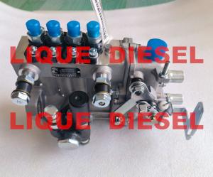Quality Diesel Pump BH4QT95R9 kangda pump wholesale