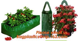 Quality OEM Planter Biodegradable Garden Bags , Hanging Growing Strawberry Bags wholesale