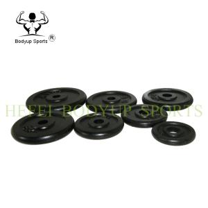 Quality Gym Crossfit Fitness Weight Plates Customized Logo Long Service Life wholesale