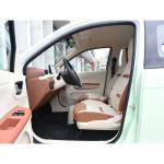 Smart 2 Seater Electric Car With Bright Color 30KW For Young People