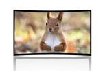 Ultra HD 4k projection screen , 16/9 curved screen Wall Installation for Cinema