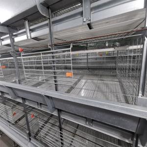 Quality Baby Chicks Broiler Chicken Cage For Chicken Farm wholesale