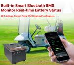 48V 100Ah LiFePO4 Golf Cart Batteries 300A/10s Peak Current Over Current