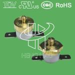 M10 Copper Head Temperature Switch
