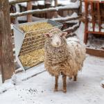 Wall Mount Hay Rack for Livestock Feeding Livestock Feeder Hay Feeder Bracket