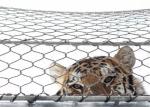 Ultrasonic Bath SS Wire Rope Zoo Mesh Tiger Fencing Flexible Light Weight