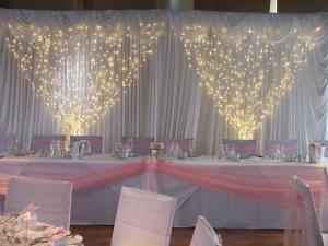Quality wedding curtain light led for decoration wholesale