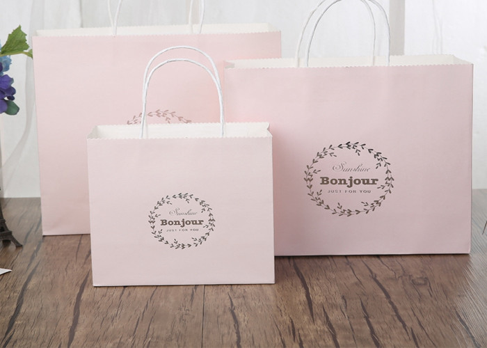 Delicate Printed Kraft Paper Bags / Printed Paper Carrier Bags Any Color Available