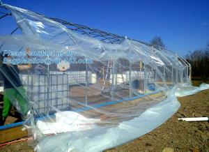 Quality Greenhouse Plastic Sheeting 12x25 ft, 6 mil Clear Film Cover UV-Resistant Polyethylene Greenhouse Film wholesale