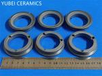 SSiC Silicon Carbide Gasket Ring , 400GPa Mechanical Industrial Seal Rings
