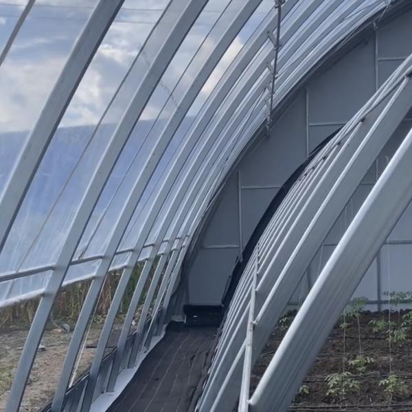 Farming with Sunlight Greenhouse Aquaculture Hydroponics Growing System JX