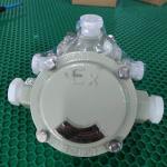 Lighting Explosion Proof Junction Box Exd II CT6 Gb DIP A21 IP68 T80°C