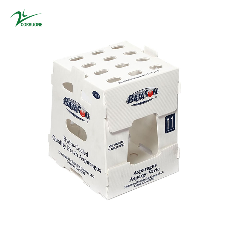 2mm 3mm Asparagus Folding Corrugated Plastic Boxes Polypropylene PP