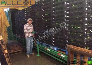 Quality Leybold Busch Pump 6 Pallets Vacuum Cooling Machine R404A Agriculture wholesale