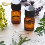 Relaxation Aromatherapy FDA Essential Oils Set Natural Perfumery And Plant