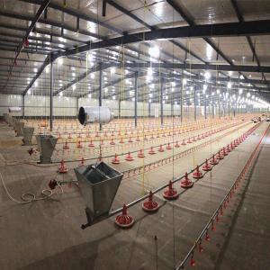 Quality 4m/Set Broiler Equipment wholesale