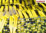 Yellow Heavy Duty Tie Straps , Truck Tie Down Ratchet Straps With Container