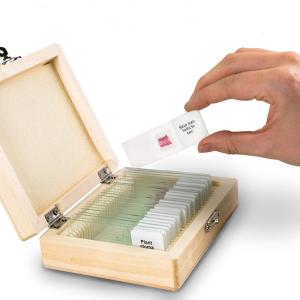 Quality Hot Sale Histology 25pcs Biology Microscope Glass Slides For Lab Research Study wholesale