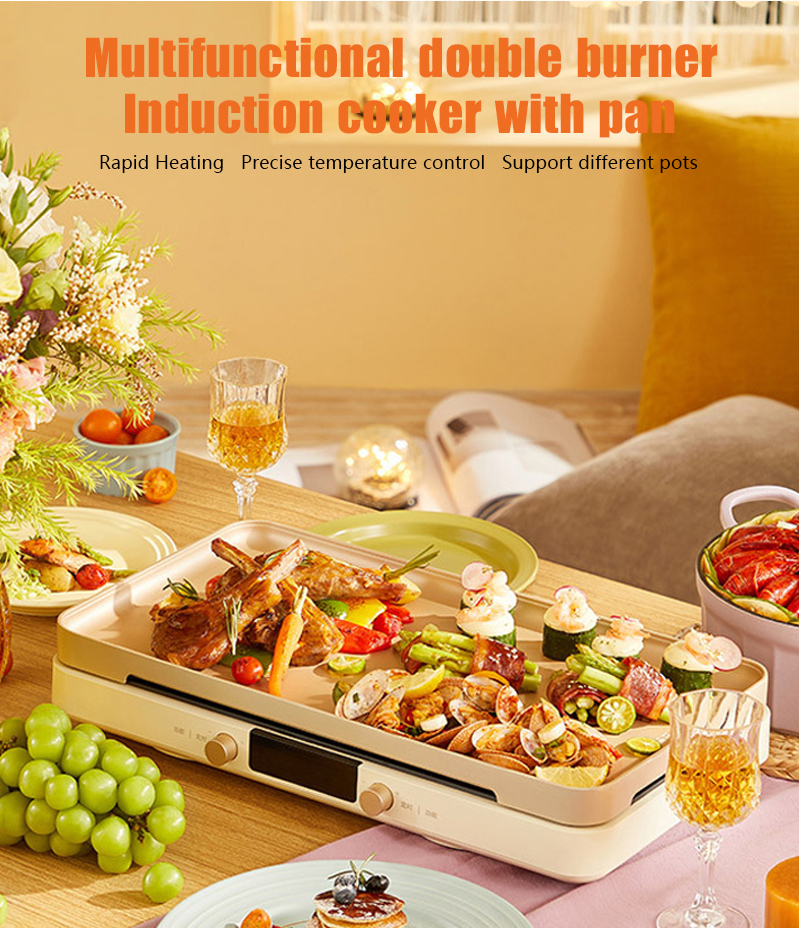 Customized Logo Acceptable 220V Magnetic Electric Induction Cooker with 2 Burner