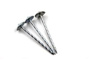 Quality Umbrella Head Roofing Nail wholesale