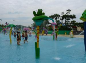 Quality Eco-friendly Water Park Equipment Frog Spalsh Mix Color Kids' Water Playground wholesale