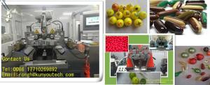 Quality Professional Championship Paintball Encapsulation Machine Automatic For Cs Game wholesale