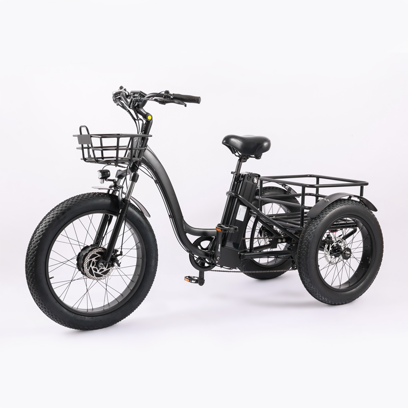 High Capacity Family Cargo Bike with Torque 80-90 Nm and Rear Carrier Battery Position
